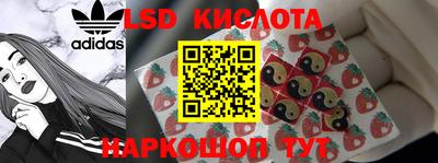 прущие грибы Заводоуковск