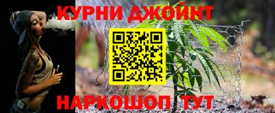 прущие грибы Заводоуковск