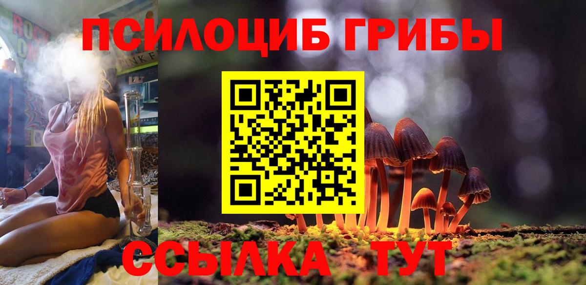 Галлюциногенные грибы Psilocybe  Галлюциногенные грибы мухоморы  Мыски  Вход с VPN 